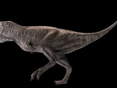 Skorpiovenator Dinosaur Asset Pack Low-poly 3D model