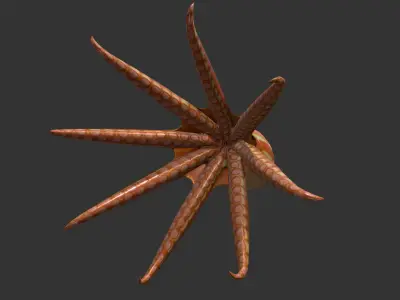 Octopus Low-poly 3D model get