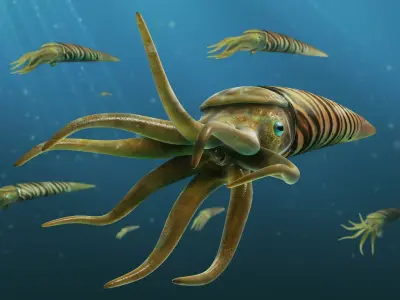 Orthoceras octopus head Low-poly 3D model