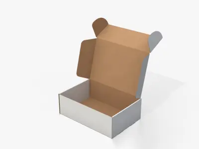  Mailer Boxes - White Rectangular Variants 