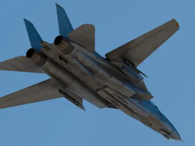 Grumman F-14 Tomcat 3D model