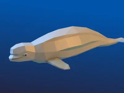 Beluga whale Low Polygon Animal Arctic sea ocean  Low-poly 3D model