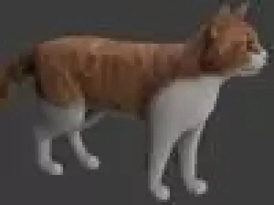 Cat model Low-poly 3D model buy