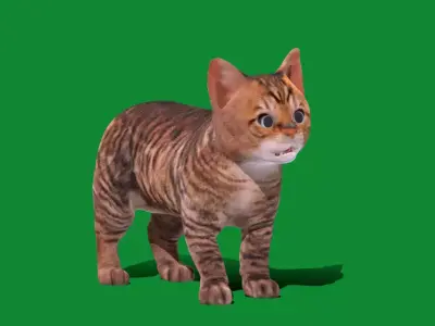 Kitten Toyger Cat Free low-poly 3D model