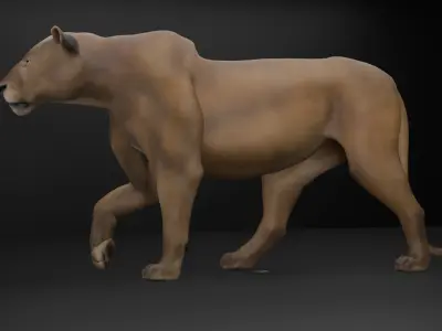 Female Lion with Walk Animation Low-poly 3D model