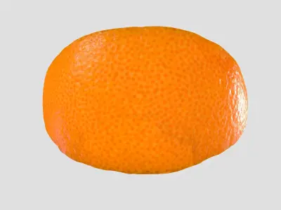 Slice of a Grapefruit 3D model
