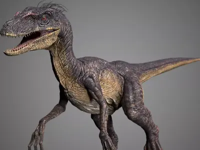 Raptor dinosaur 3D model buy