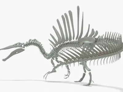 Spinosaurus Rigged Skeleton Low-poly 3D model