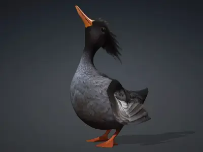 Duck-B5 3D model