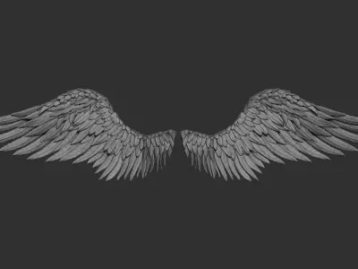 11 Wings 3D model