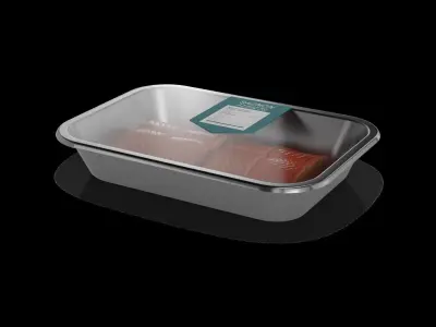 Salmon and salmon products Salmon Fillets 3D model