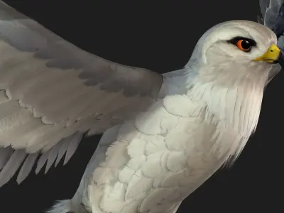 Falcon-A1 3D model