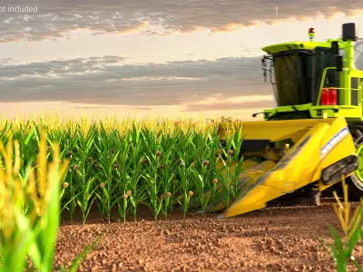  Agricultural Corn Field 