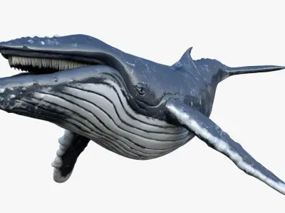  Set of Sea Animals Rigged 8K Low-poly 3D model