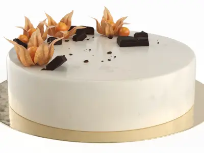 Chocolate Garnished Cake with Physalis 3D model