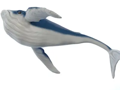Whale Cartoon 3D model purchase