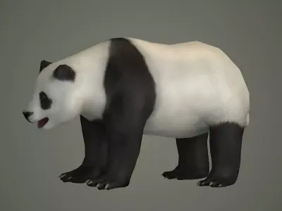 panda bear wildlife beast wild fur teddy outdoors mammal 3D model