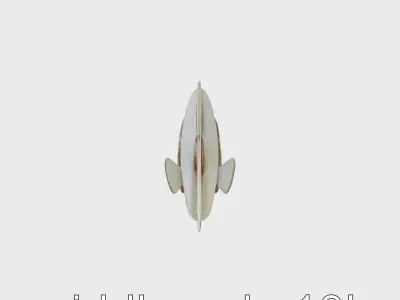 Barreleye Fish 3D Model with Transparent Head Low-poly 3D model