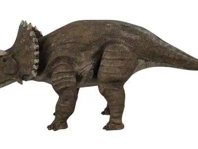 Triceratops 3D model buy