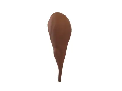 Caveman Club 3D model