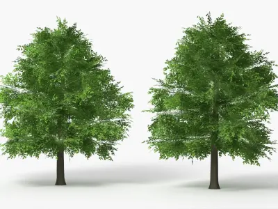 Realistic Lowpoly Beech Woodland Tree Green 3D model