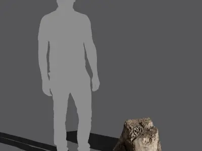  Short Cut Bare Splintered Stump Model 