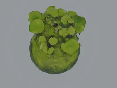 Emerald Cranium Free 3D model
