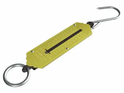 Pocket Balance 3D model