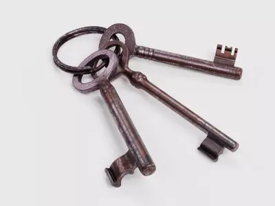 Set of Keys - 3 Rusty Skeleton Keys on Keychain Ring 3D model