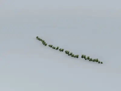 Trees on the Port Part 05 Free 3D model