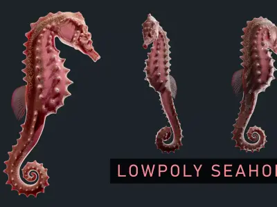 Game Ready Seahorse Low-poly 3D model