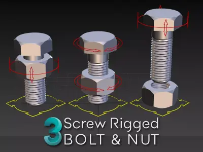 Screw Bolt and Nut Rigged 3D model