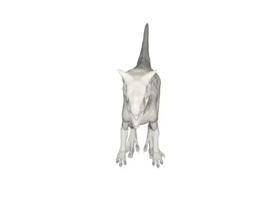 Dinosaur t - rex 3D model