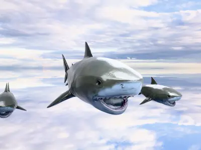 Blue Shark Low-poly 3D model