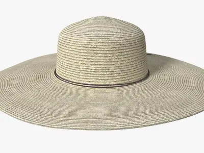 Women Straw Hat Yellow 3D model