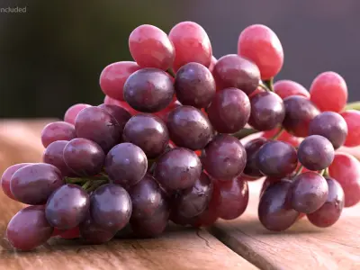  Grapes Collection 3 