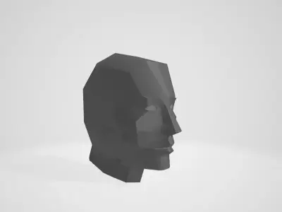 Human Face Free 3D model