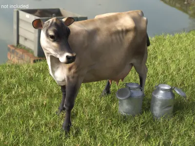 Jersey Heifer and Milk Bucket 3D model