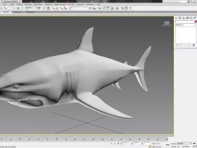 Shark 3D model 5