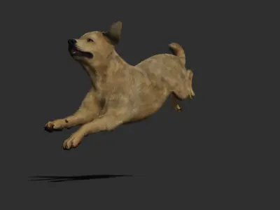 Dog rigged and animated 3D model