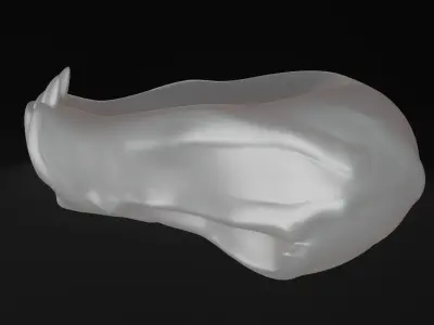 Animal skull - Panther 3D model