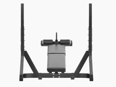 Technogym Olympic Declined Bench Pure 3D model