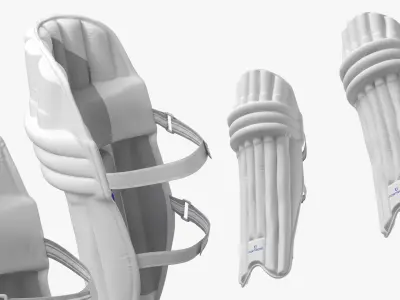 Fortress Cricket Batting Pads Pair 3D model
