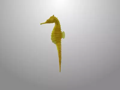 Seahorse fish 3D model Rigged Low-poly 3D model