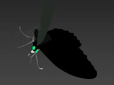 Butterfly 3D model 3