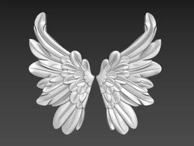 Wings Relief 3D model