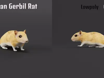 Mongolian Gerbil Rat Rodent Free low-poly 3D model