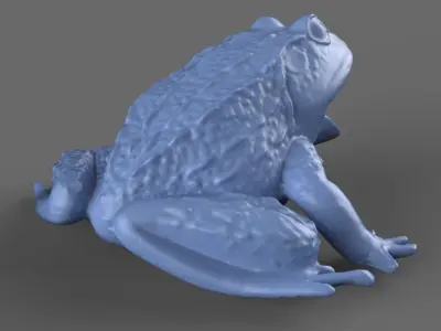 Frog Toy 3D model