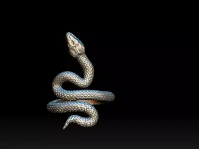 Snake Ring 3D print model 3D print model
