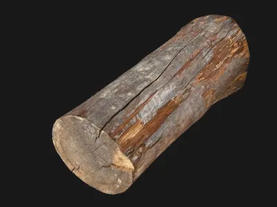 Tree trunk wood 3d scan highpoly 3D model by Shutters